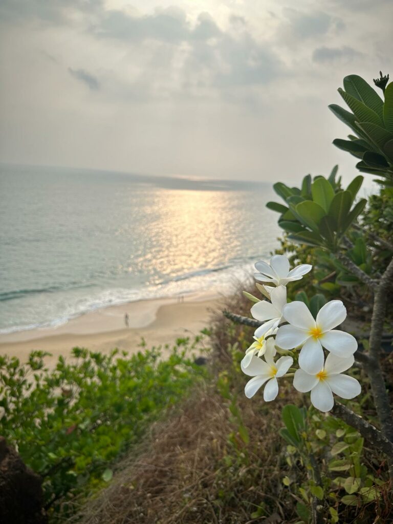 India Yoga Wonders_Varkala3