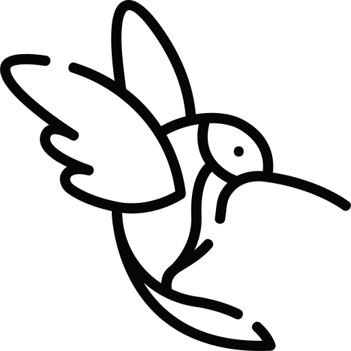 hummingbird